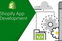 i-can-develop-custom-shopify-app-for-the-shopify-store