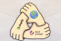 i-can-professionally-translate-shopify-store-to-english-language