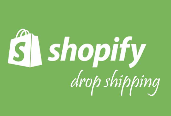 i-will-create-a-branded-niche-drop-shipping-store-for-you